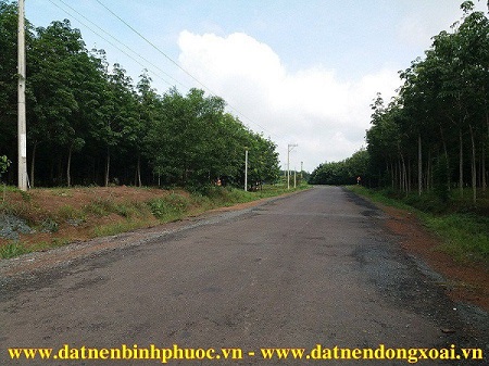 Bán 25ha Đất Nông Nghiệp tại Đồng Phú - Bình Phước